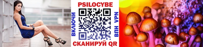 где можно купить наркотик Углич mega Галлюциногенные грибы Psilocybe