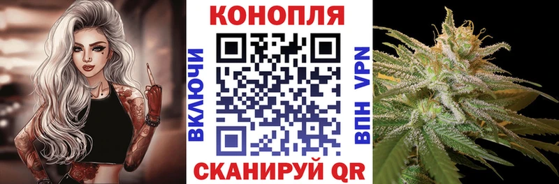 Каннабис семена Углич